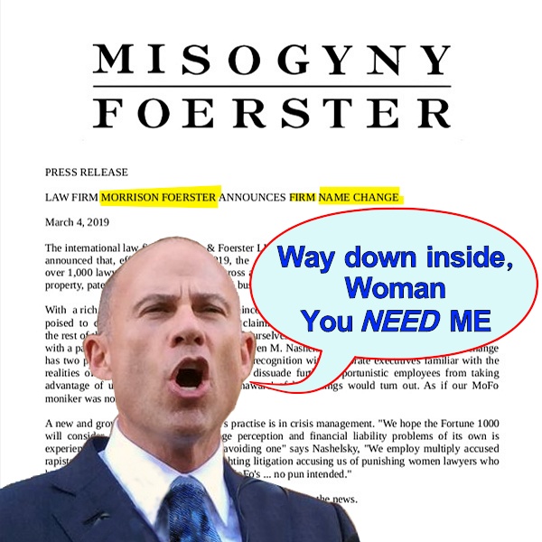 Michael Avenatti stands Confident that Women Need Him and if that's Misogyny just sue him